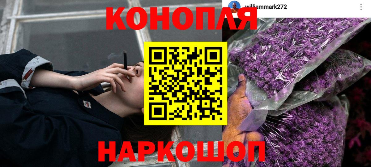 Бошки Шишки MAZAR Торжок